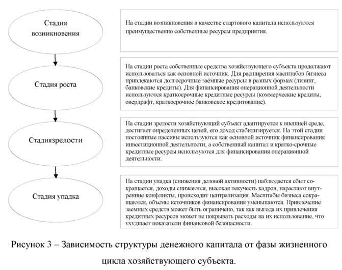 Зависимость структуры денежного капитала от фазы жизненного цикла хозяйствующего субъекта