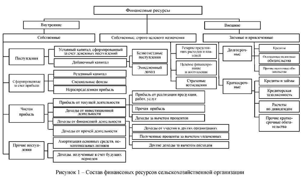 Состав финансовых ресурсов сельскохозяйственной организации