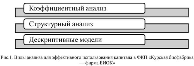 Виды анализа для эффективного использования капитала в ФКП Курская биофабрика БИОК