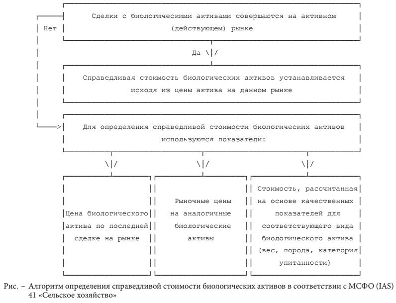 Алгоритм определения справедливой стоимости биологических активов в соответствии с МСФО 41 сельское хозяйство