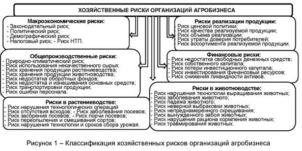 Классификация хозяйственных рисков организаций агробизнеса