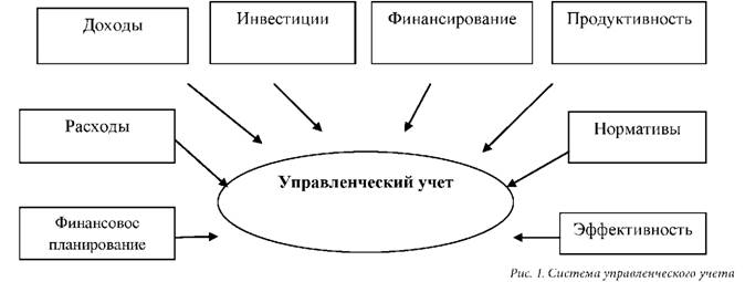 Система управленческого учета