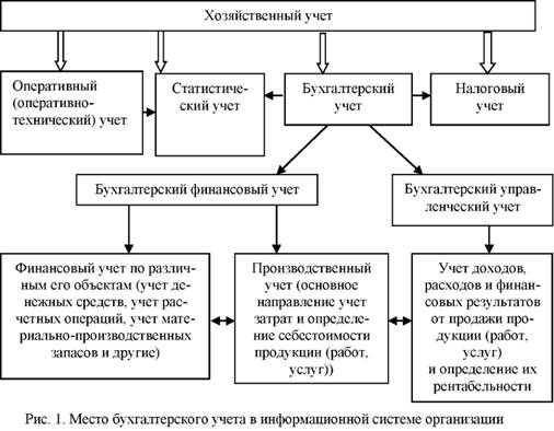 Место бухгалтерского учета в информационной системе предприятия