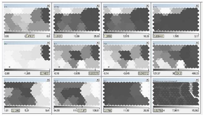 Карты Кохонена исходных показателей