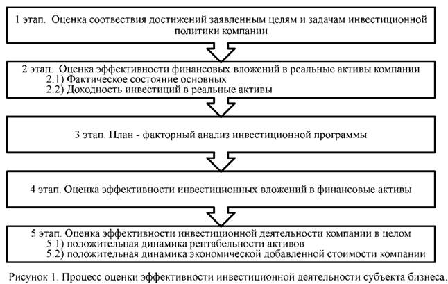 Процесс оценки эффективности инвестиционной деятельности субъекта бизнеса