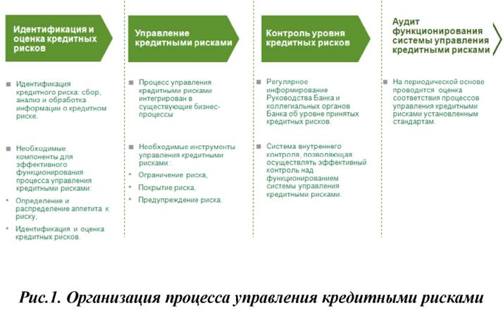 Организация процесса управления кредитными рисками