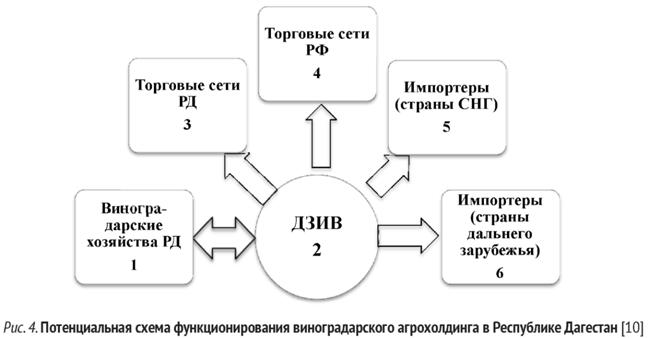 Потенциальная схема функционирования виноградного агрохолдинга в Республике Дагестан