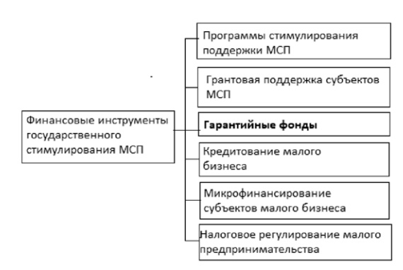 Финансовые инструменты государственного стимулирования МСП