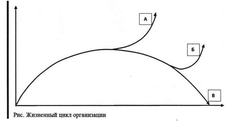 Жизненный цикл организации